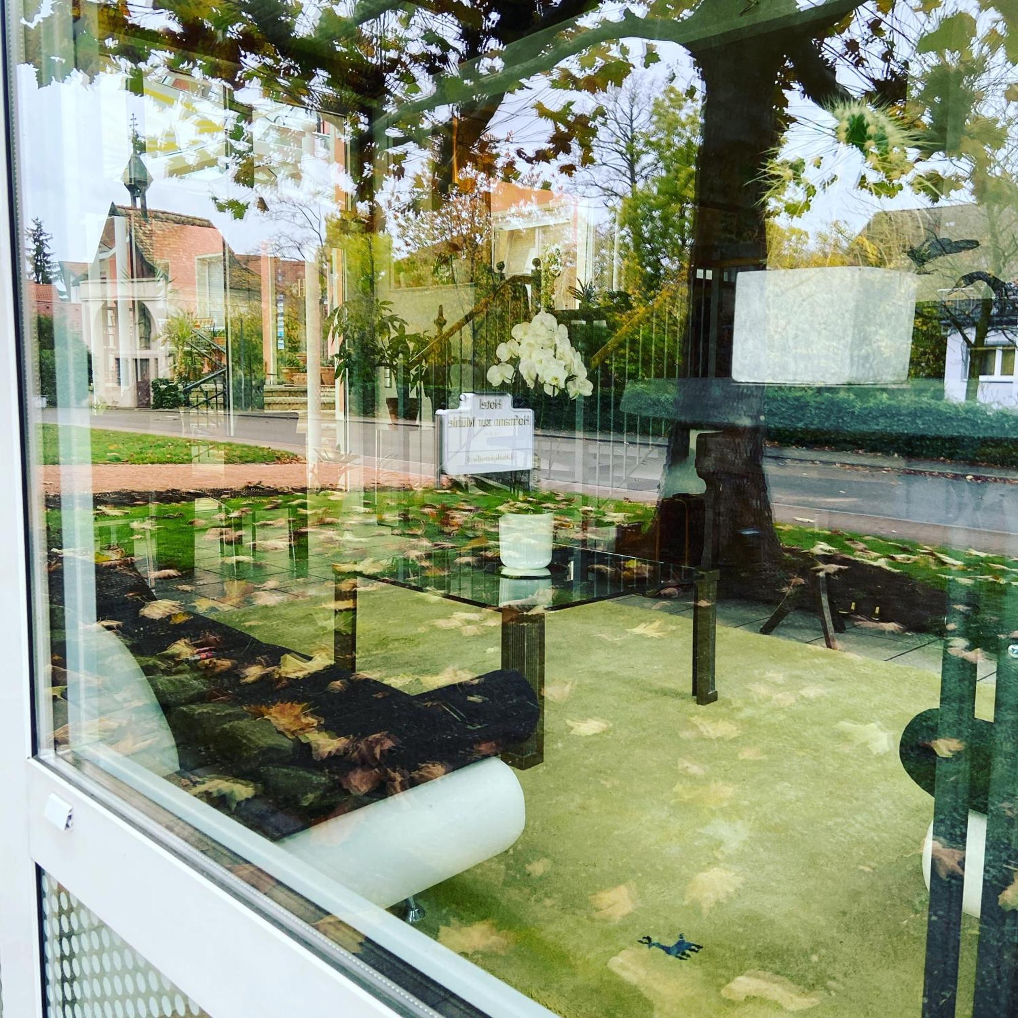 Hotel Hofmann Zur Muehle Bad Krozingen Kültér fotó